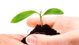 Growing Media (inc compost) (9)